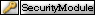 pkSecurityModule